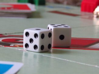 Bibliothek veranstaltet Spielenachmittag für Erwachsene mit großem Spielebestand